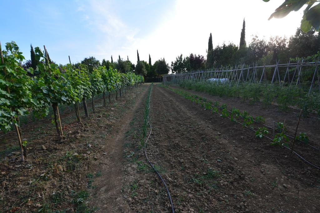 Agriturismo Dolce Verde Castiglione del Lago Exterior foto