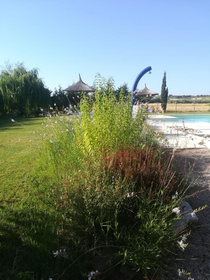 Agriturismo Dolce Verde Castiglione del Lago Exterior foto